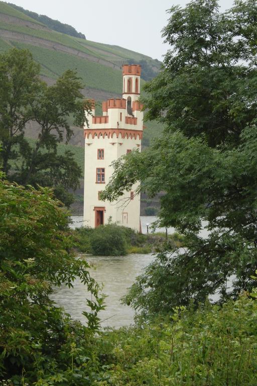 Hotel Gasthof Schuster Und Gaestehaus 로데스하임암라인 외부 사진