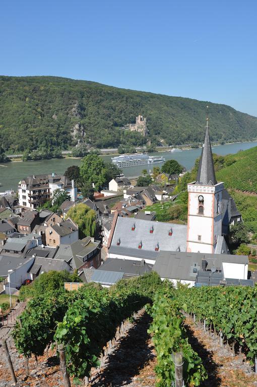 Hotel Gasthof Schuster Und Gaestehaus 로데스하임암라인 외부 사진
