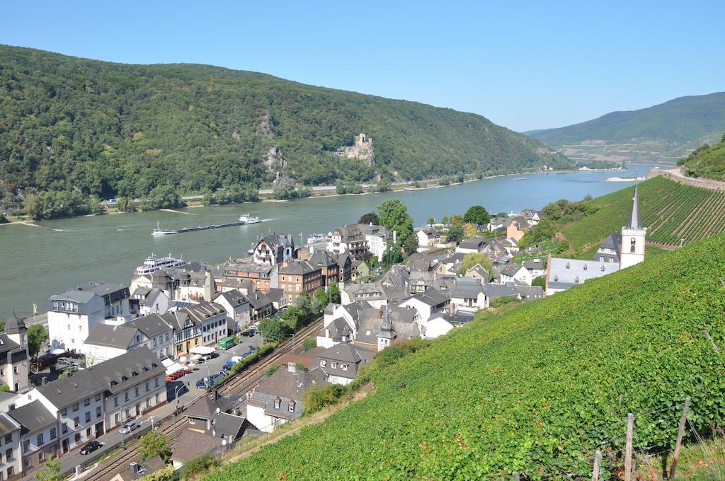 Hotel Gasthof Schuster Und Gaestehaus 로데스하임암라인 외부 사진
